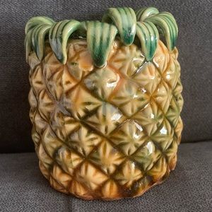 Pineapple ceramic bamboo succulent planter